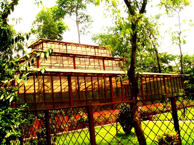 Travel to Bangladesh Botanical Garden