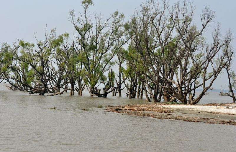 Travel to Bangladesh Sundarban