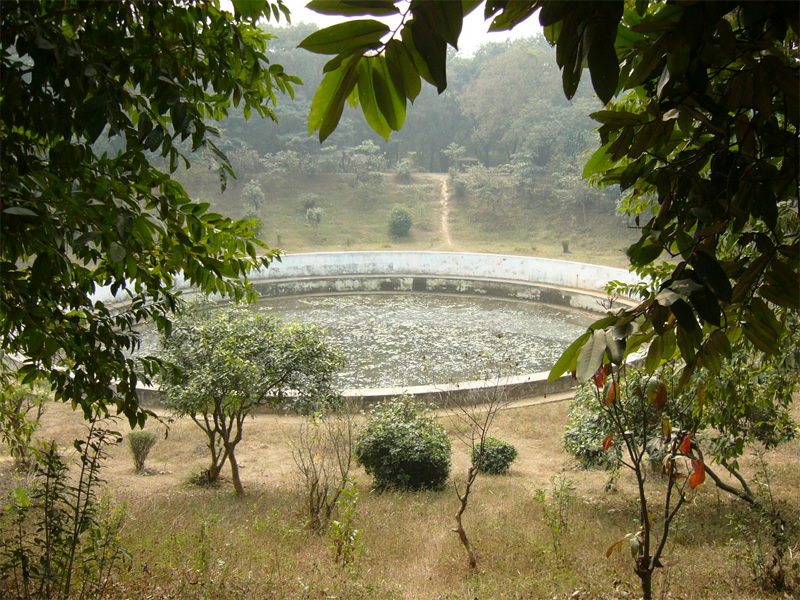 Travel to Bangladesh Baldha Garden