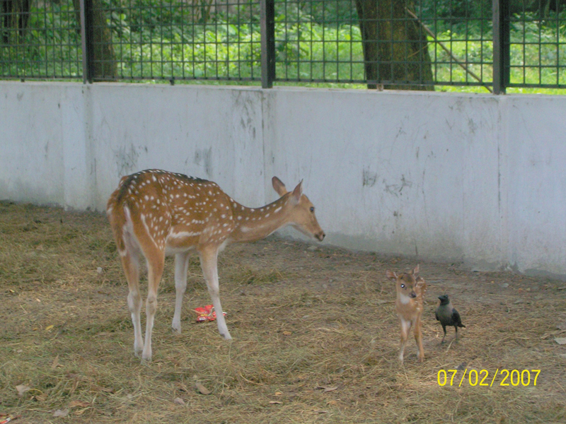 Travel to Bangladesh Rangpur Zoo