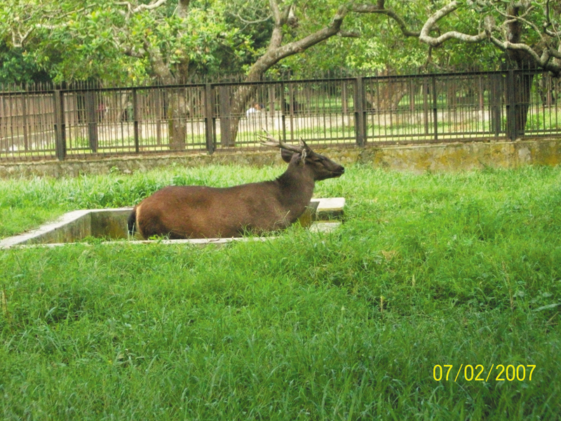 Travel to Bangladesh Rangpur Zoo