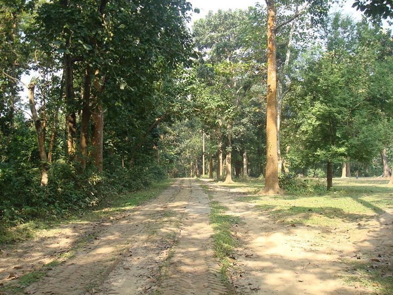 Travel to Bangladesh Modhupur Picnic Spot