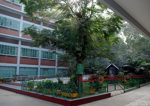 Travel to Bangladesh St Francis Xavier's Green Herald International School