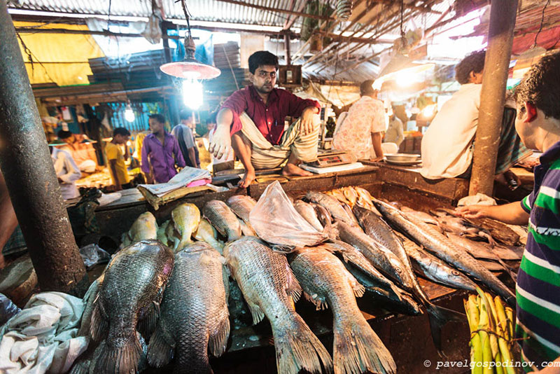 Travel to Bangladesh Moheshkhali Island