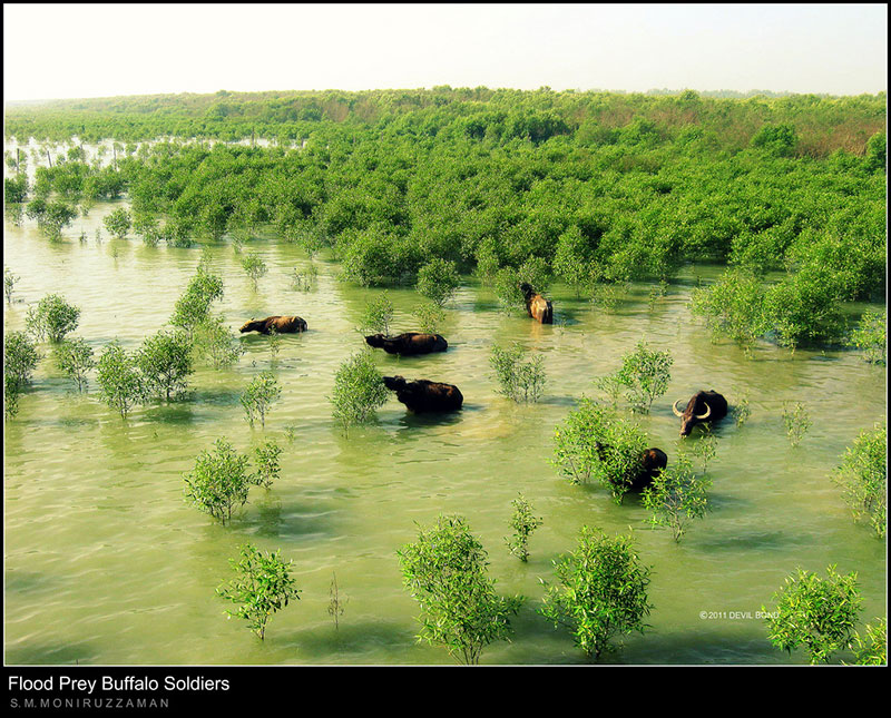 Travel to Bangladesh Moheshkhali Island