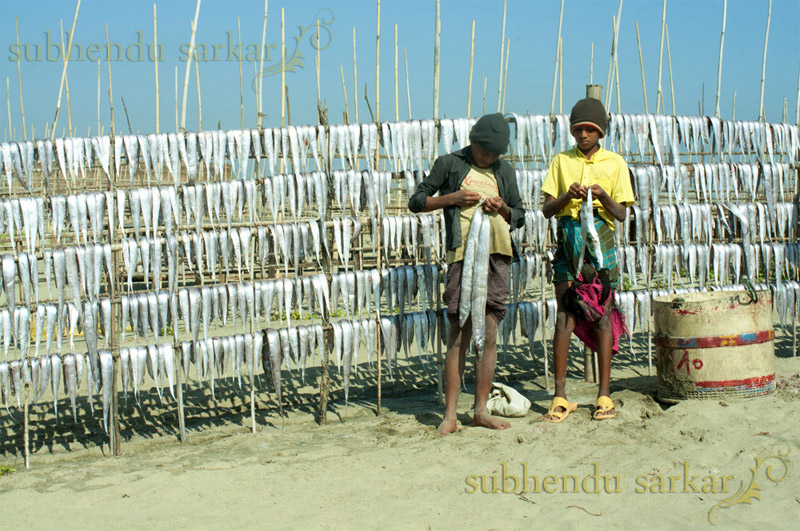 Travel to Bangladesh Sonadia Island