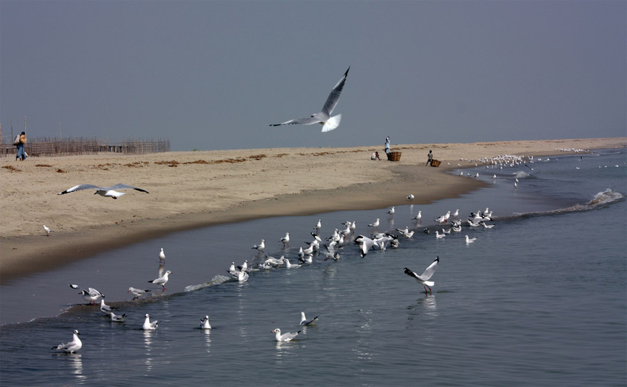 Travel to Bangladesh Sonadia Island