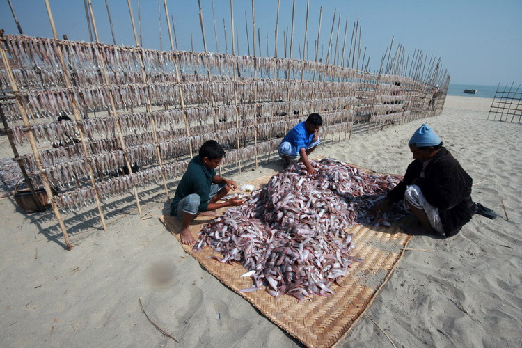 Travel to Bangladesh Sonadia Island