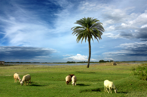 Travel to Bangladesh Nijhum Island