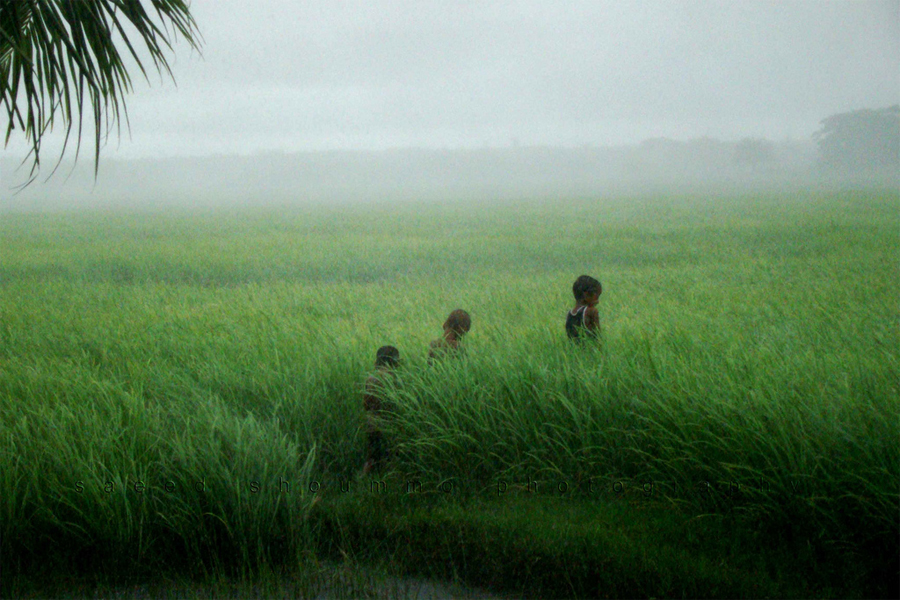 Travel to Bangladesh Nijhum Island