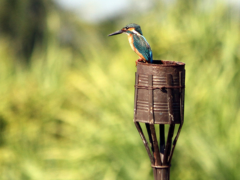 Travel to Bangladesh Teknaf