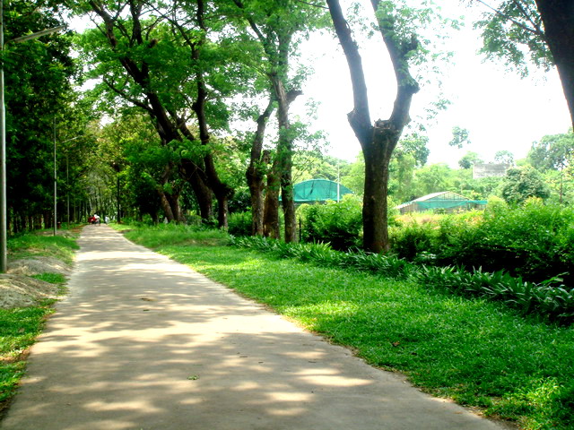 Travel to Bangladesh Botanical Garden