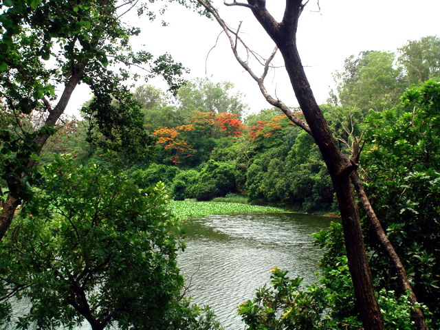 Travel to Bangladesh Botanical Garden