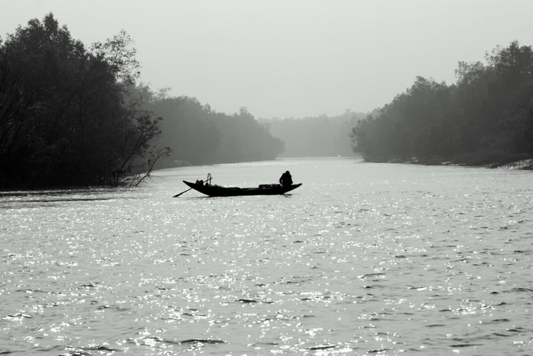 Travel to Bangladesh Sundarban