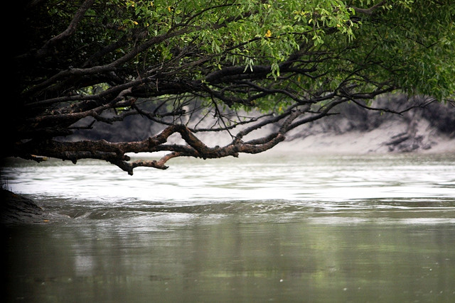 Travel to Bangladesh Sundarban